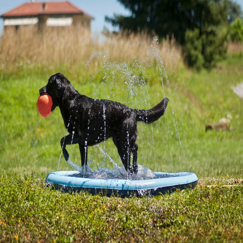 Piscina splash