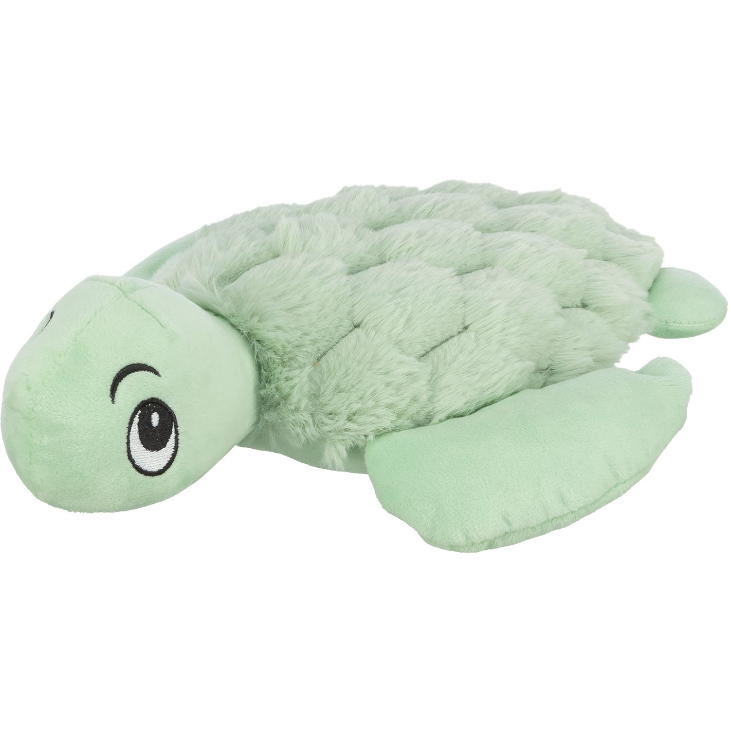 Tortuga