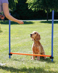 Vallas Agility, Regulable