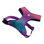 Arnés para Perro Air Mesh Plus Wave Zeedog