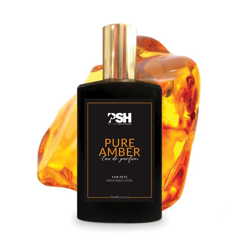 Eau de Parfum – Pure Amber