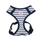 Ziggy Harness A Pinkaholic