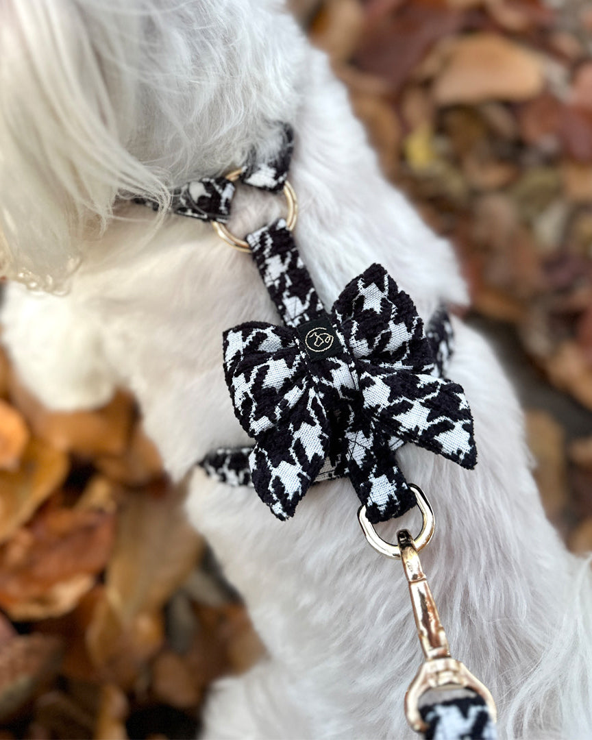 Ambree Harnesses Guard
