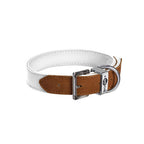 Collar para Perro Hasard Bobby Varios Colores