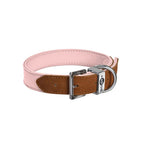 Collar para Perro Hasard Bobby Varios Colores
