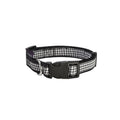 Collar para Perro Chic Bobby