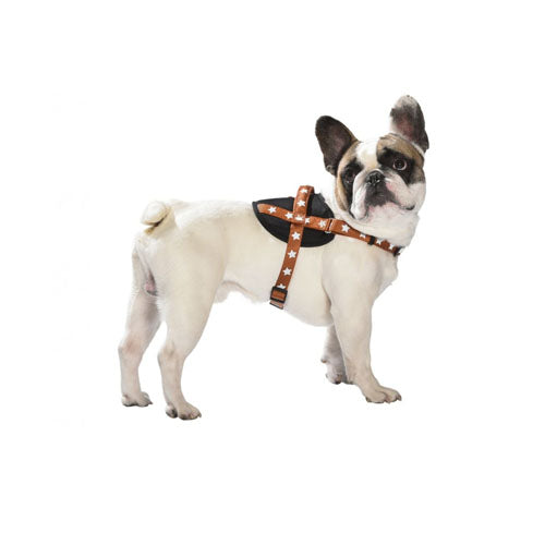 Arnés para Perro Midnight Bobby Varios Colores