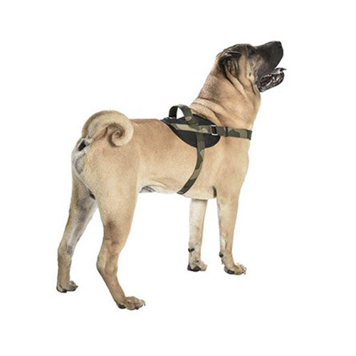 Arnés para Perro Easy Camuflaje Bobby