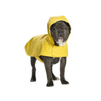 Impermeable para Perro Amarillo Leo Bobby