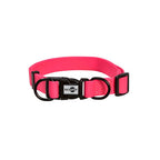 Collar para Perro PVC Pop Varios Colores