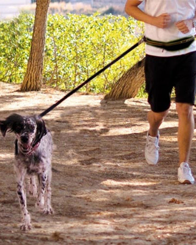 Correa Running para Perro On Go