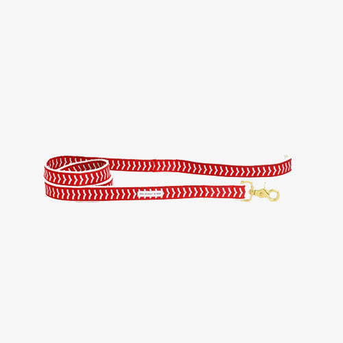 Correa para Perro Chef l'Bark Varios Colores
