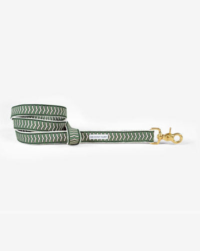 Correa para Perro Chef l'Bark Varios Colores
