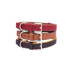 Collar para Perro de Cuero Monaco Bowl & Bone