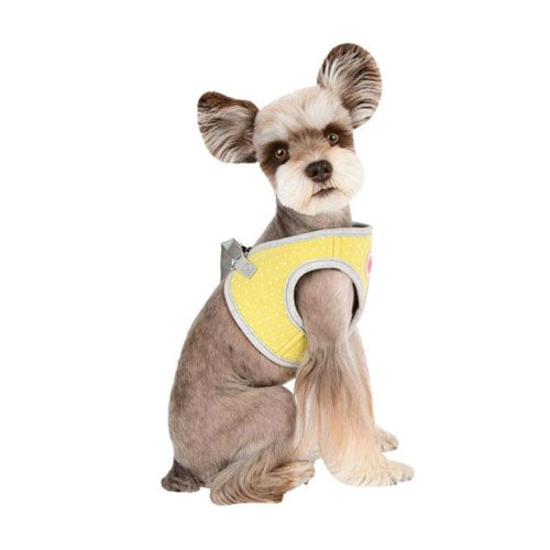 Lalo Vest Harness Q