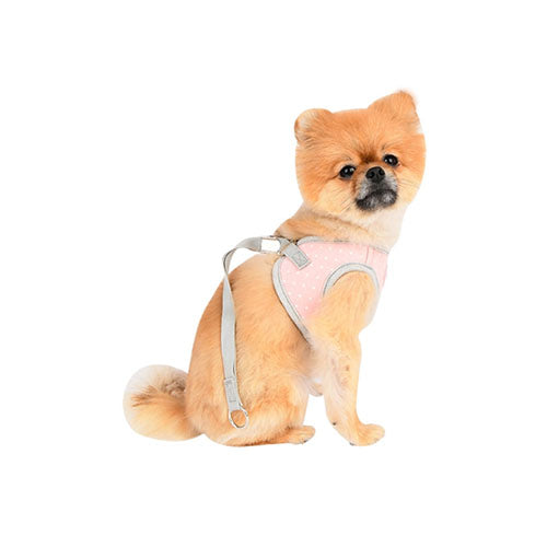 Lalo Vest Harness Q