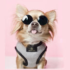 Arnés para Perro Elite