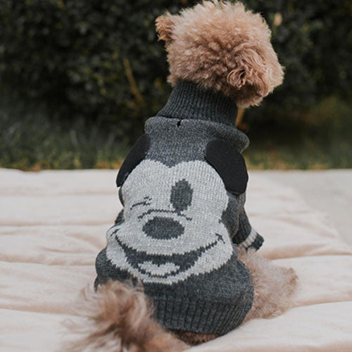 Jersey para Perro Micke Ear Applique Max Bone