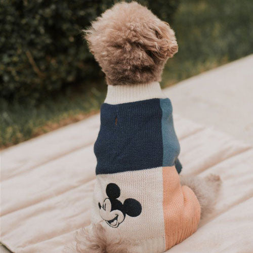 Jersey para Perro Mickey Colors Blocked Max Bone