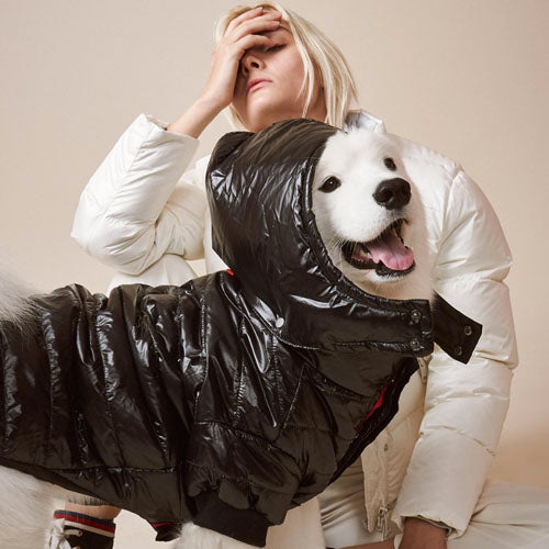 Abrigo para Perro AXL Coat Max Bone