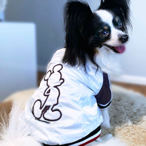 Abrigo para Perro Mickey Bomber Max Bone