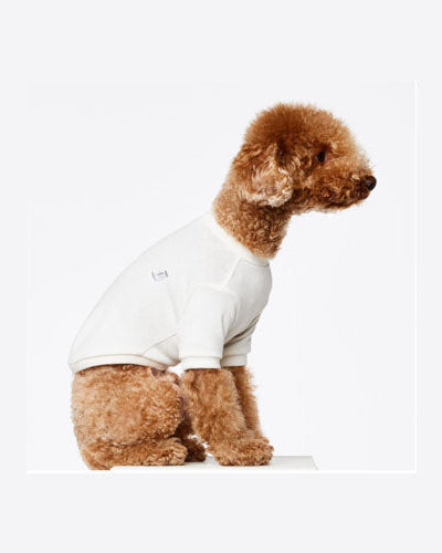 Camiseta para Perro Lisa Eva Blanco