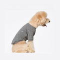 Camiseta para Perro Lisa Eva Gris