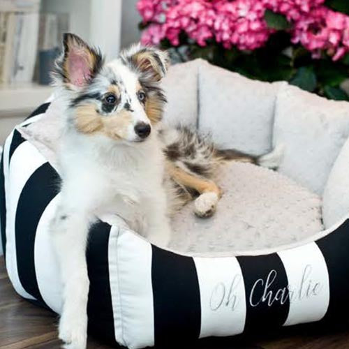 Cama para Perro Lisbon Varios Colores