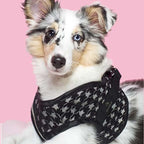 Arnés para Perro Prestige Varios Colores