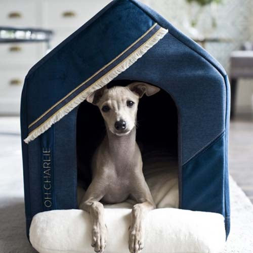Cama Casa para Perro Allure