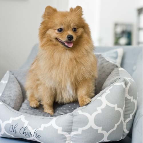 Cama para Perro Marocco Gris