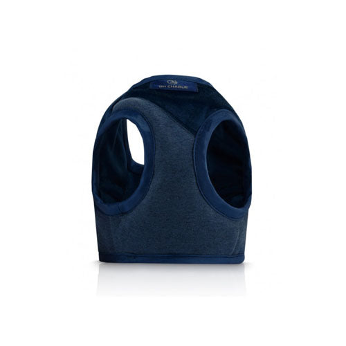 Arnés para Perro Allure Azul & Dorado
