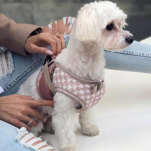 Arnés para Perro Glamour Varios Colores