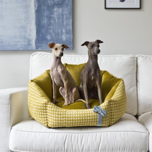 Cama para Perro Glamour Varios Colores