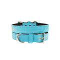 Collar para Perro Neon Blue Urban Pup