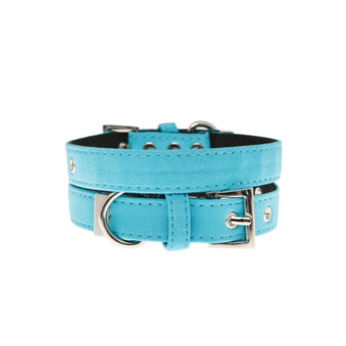 Collar para Perro Neon Blue Urban Pup
