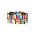 Collar para Perro Striped Urban Pup