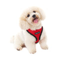 Arnés para Perro Soft Mesh Urban Pup