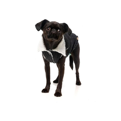 Chaqueta para Perro Rebel Black Jacket FuzzYard