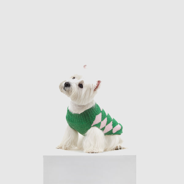 Jersey arlequín verde