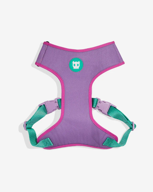 Aura adjustable mesh Plus Harness