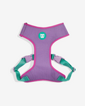 Aura adjustable mesh Plus Harness