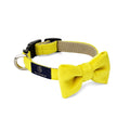 Oh Charlie Yellow Bow Tie Collar