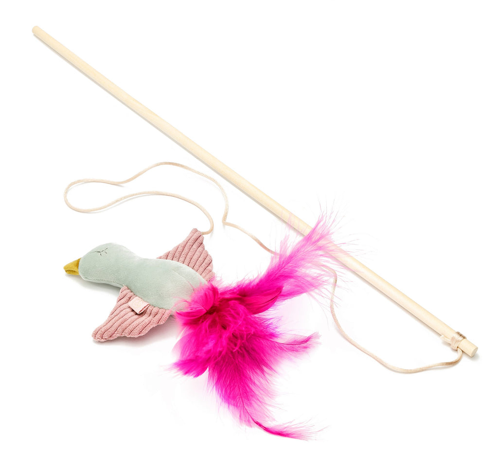 Toy Bird Ivy Oh Charlie