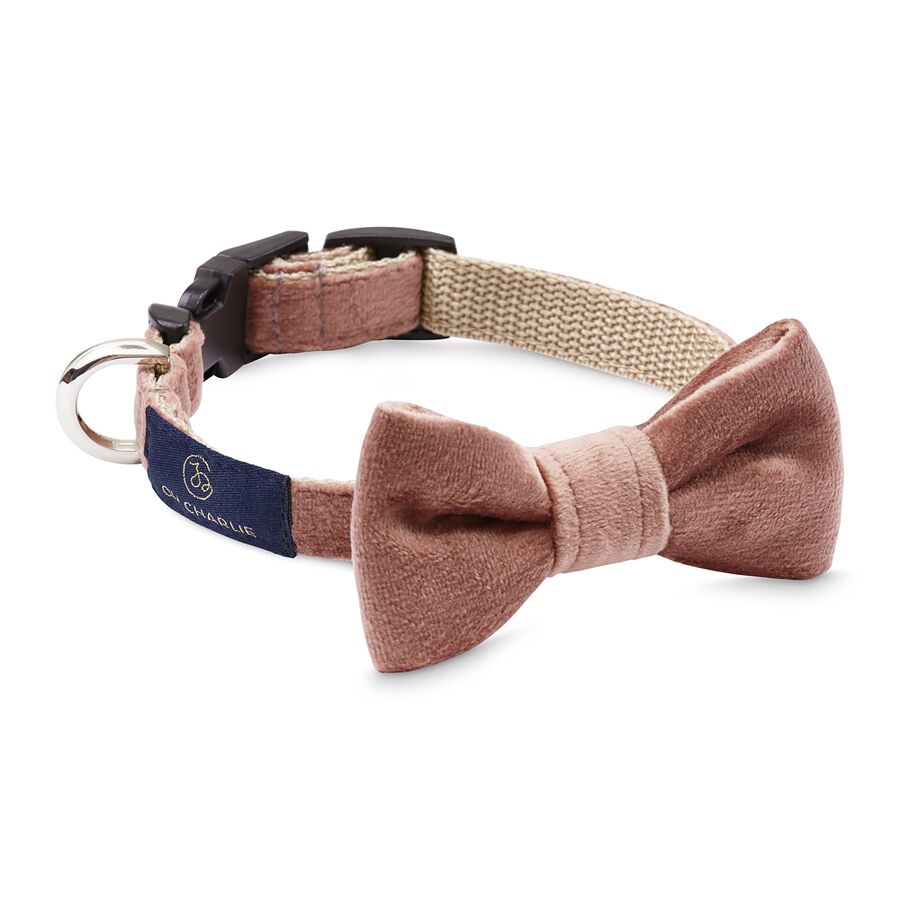 Glam Pink Bow Tie Collar Oh Charlie