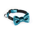 Glossy bow tie, Oh Charlie Esmeralda