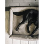 Cama para perro Bjorn