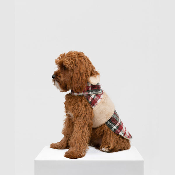 Dog coat Leaf Tartan