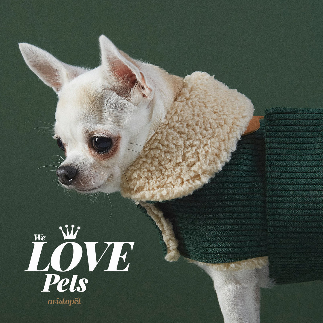 Benson Aviator Coat
