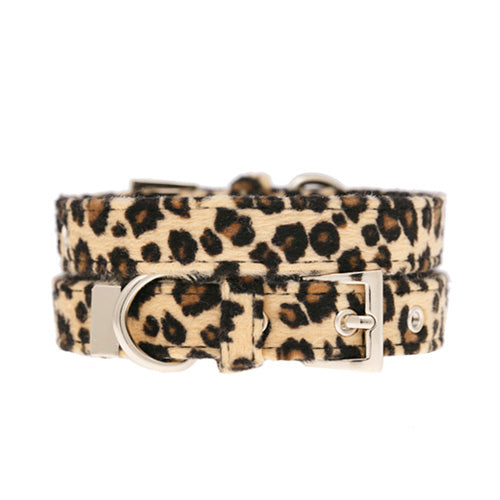 Set collar y correa para perro Animal Print Urban Pup